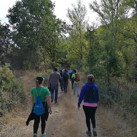 Casa Flipe -b דירה *