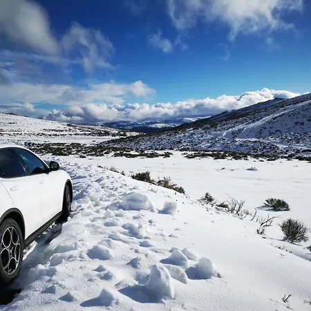 Daire Casa Flipe -b Bragança