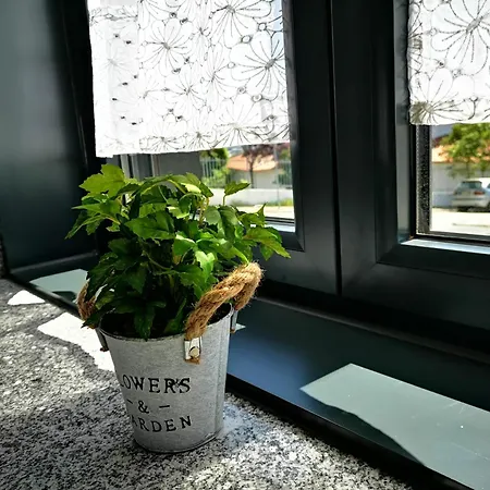 Casa Flipe -b Bragança