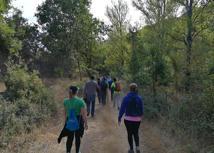 Casa Flipe -b شقة *