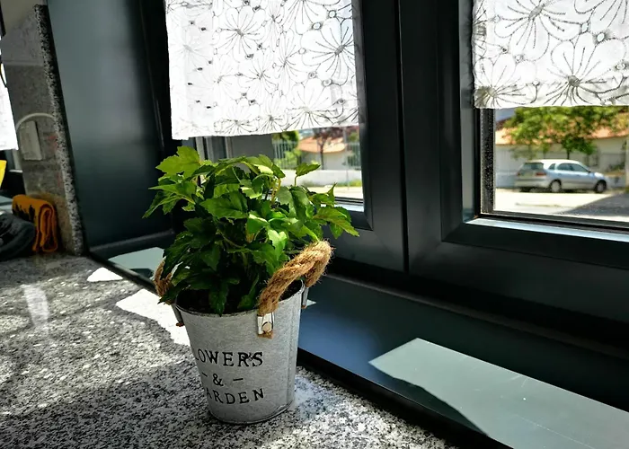 Casa Flipe -b براغانسا