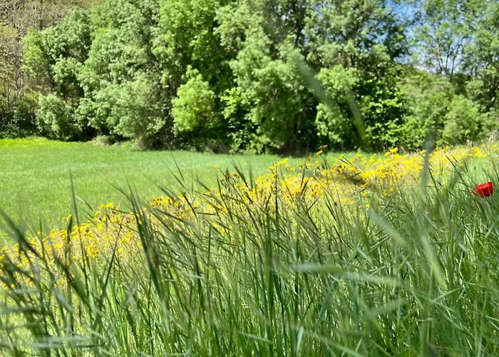 Casa Flipe -b דירה Bragança