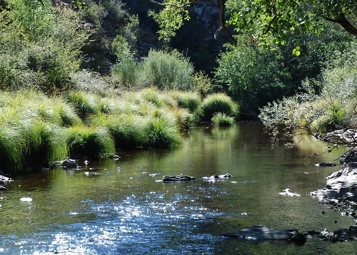 Casa Flipe -b דירה